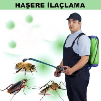 Türkeli Böcek İlaçlama